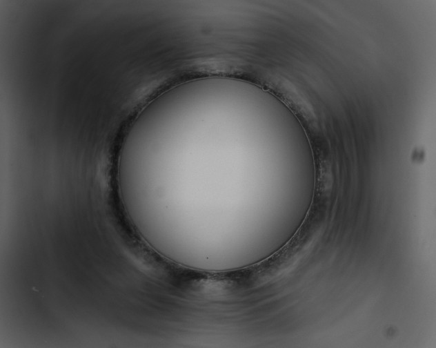 X0000102820255200809021257