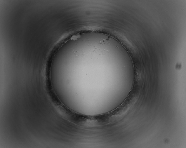 X0000102820256200809021257