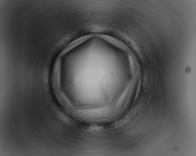 X0000102820257200809021257