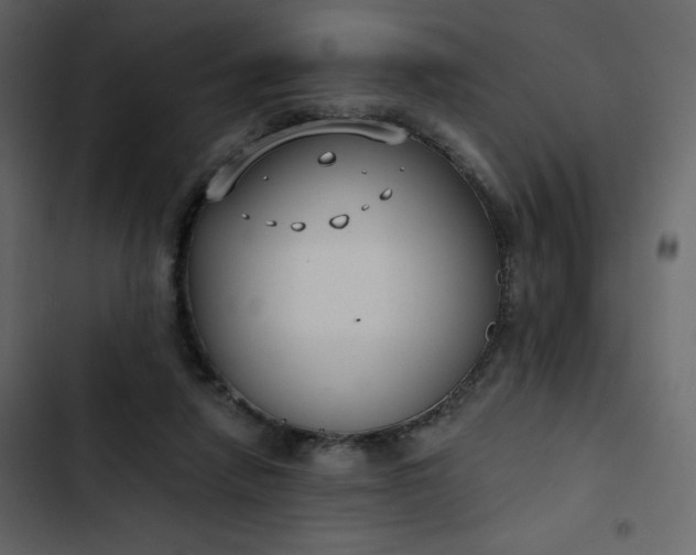 X0000102820258200809021257