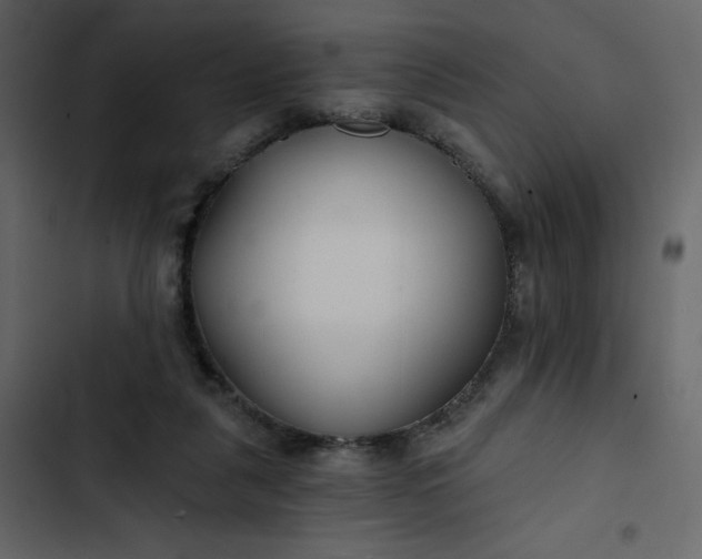 X0000102820259200809021257