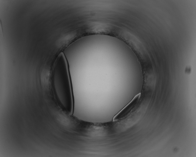 X0000102820260200809021257