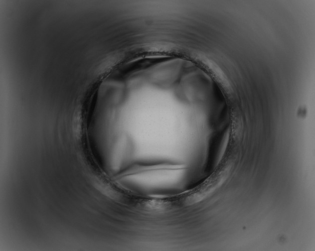 X0000102820261200809021257