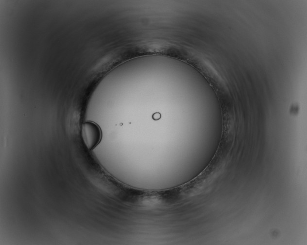 X0000102820262200809021257