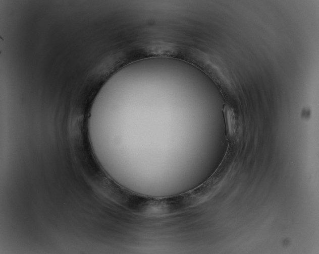 X0000102820263200809021257