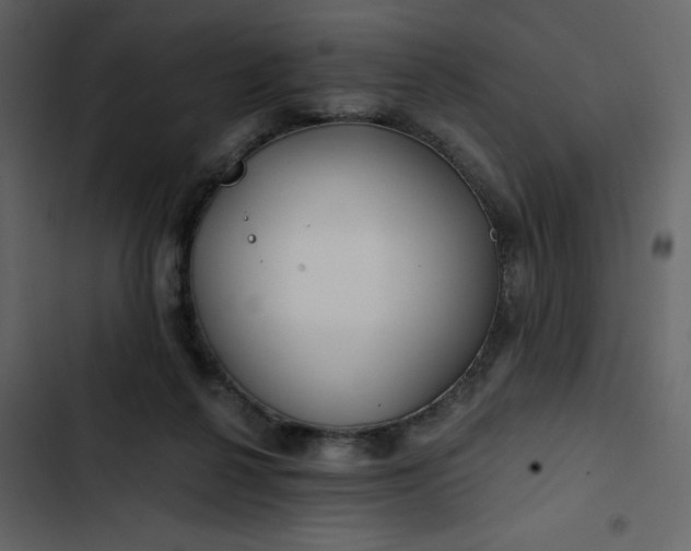 X0000102820264200809021257