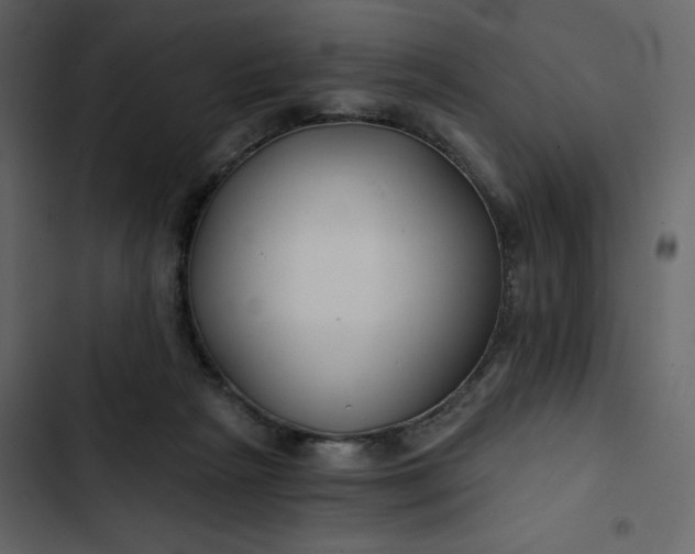 X0000102820265200809021257