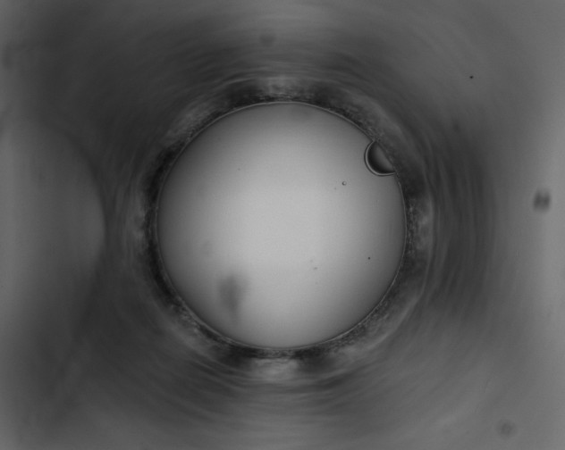 X0000102820266200809021257