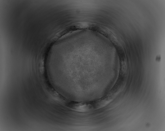 X0000102820267200809021257