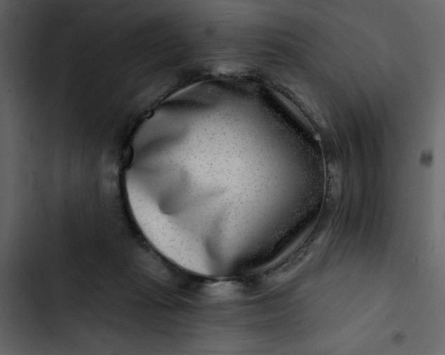 X0000102820269200809021257
