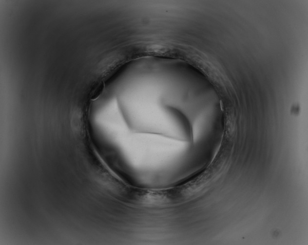 X0000102820270200809021257