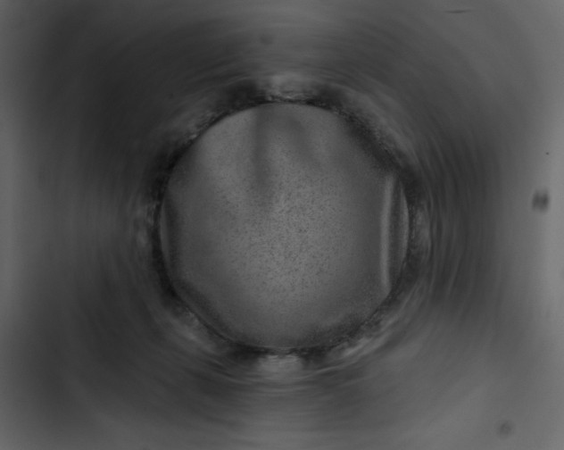 X0000102820271200809021257