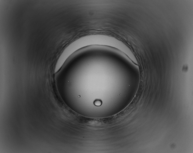 X0000102820272200809021257