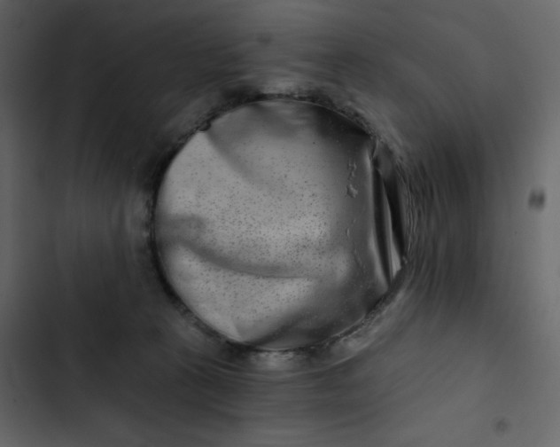 X0000102820273200809021257