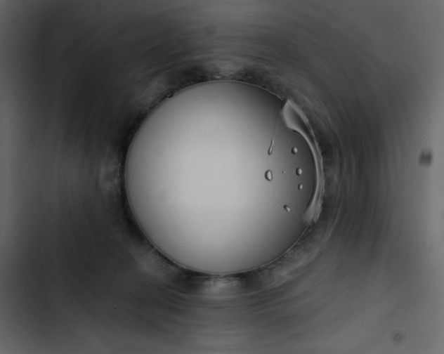 X0000102820274200809021257