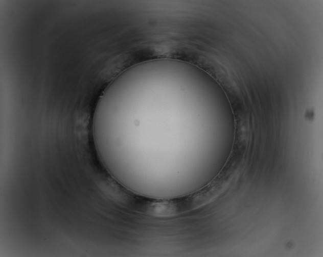 X0000102820275200809021257