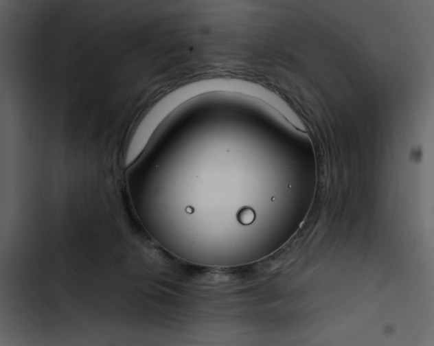 X0000102820276200809021257