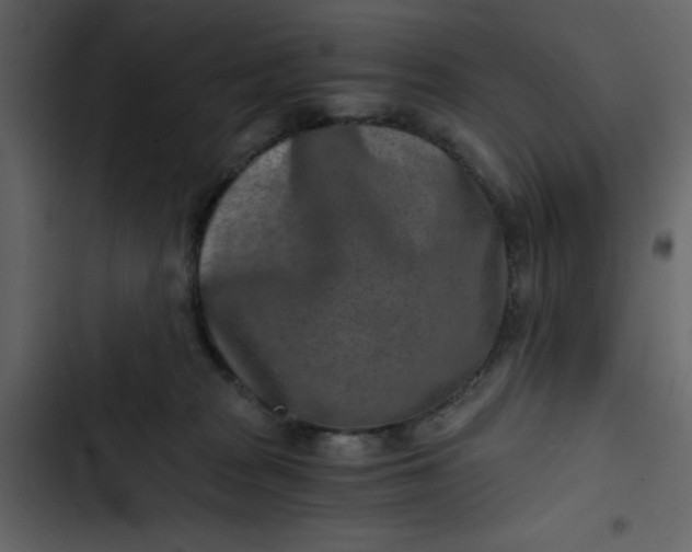X0000102820277200809021257