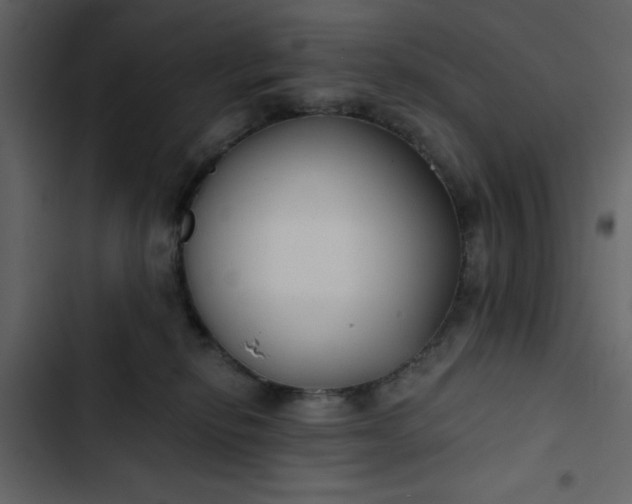 X0000102820278200809021257