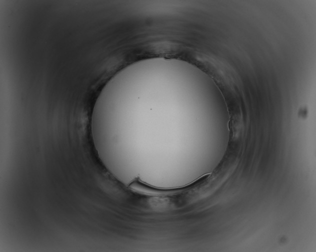 X0000102820279200809021257