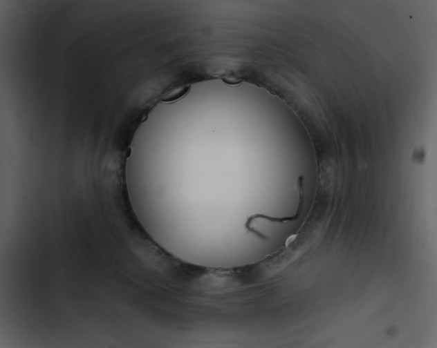 X0000102820280200809021258