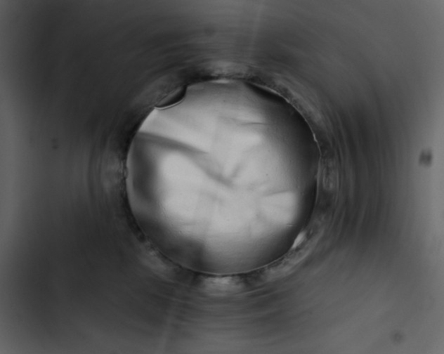 X0000102820281200809021258