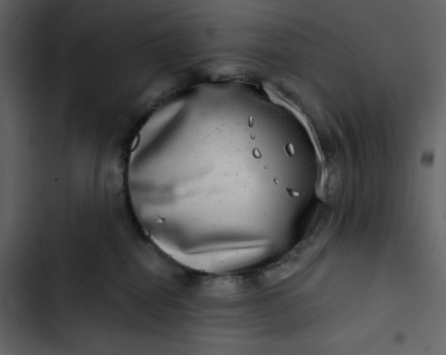 X0000102820282200809021258