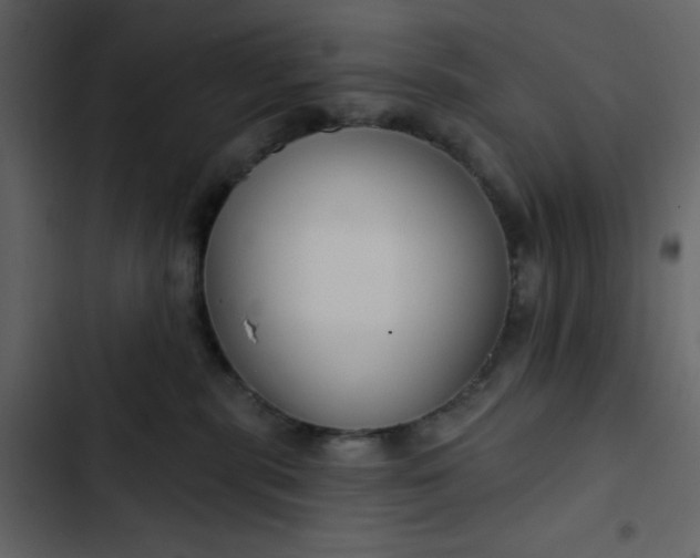 X0000102820283200809021258