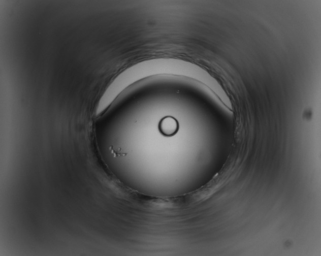 X0000102820284200809021258