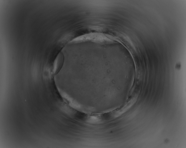 X0000102820285200809021258