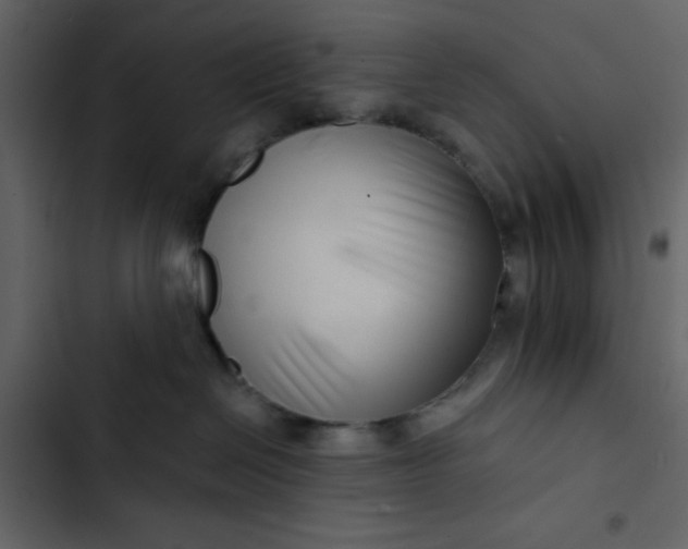 X0000102820286200809021258