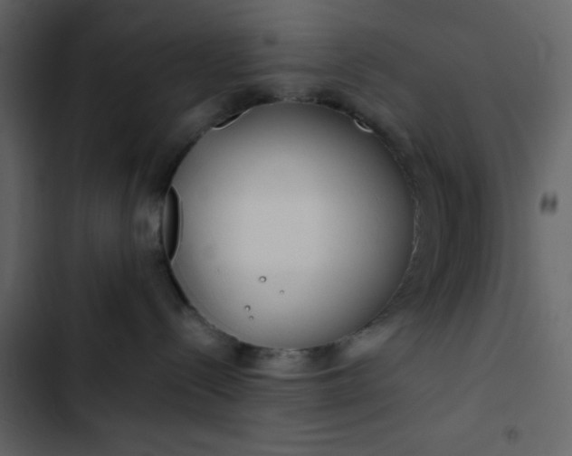 X0000102820288200809021258