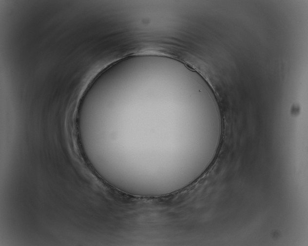 X0000102820289200809021257