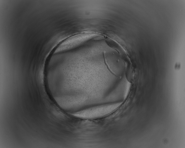 X0000102820290200809021257