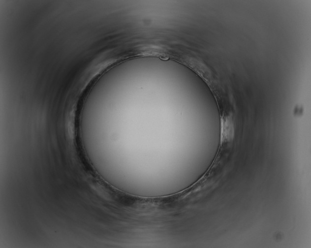 X0000102820291200809021257
