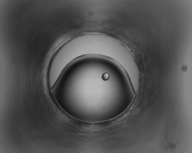 X0000102820293200809021257