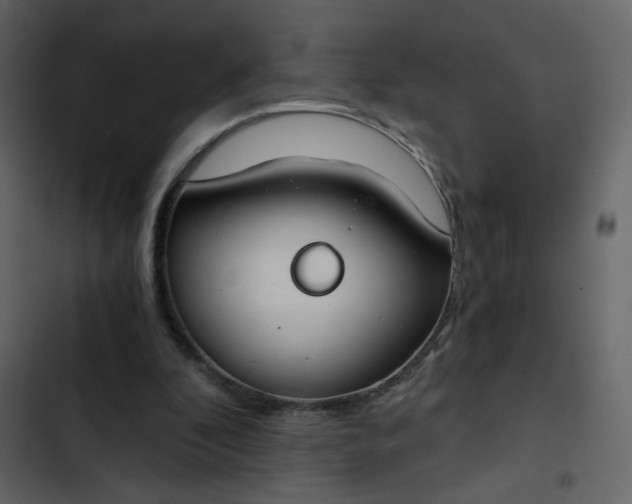 X0000102820296200809021257