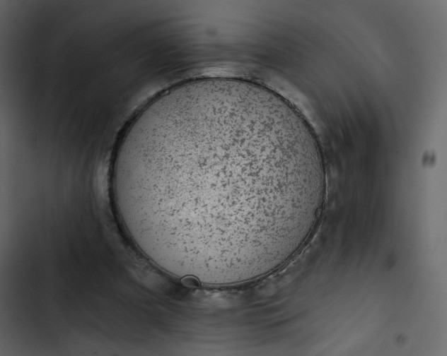 X0000102820297200809021257