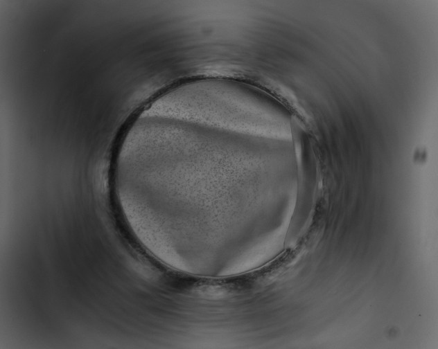 X0000102820299200809021257