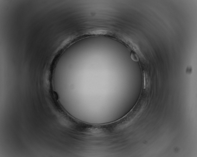X0000102820300200809021257