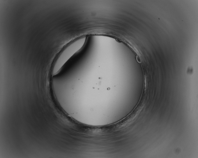 X0000102820301200809021257