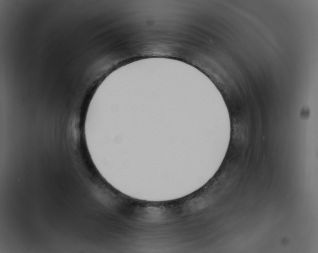 X0000102820302200809021257