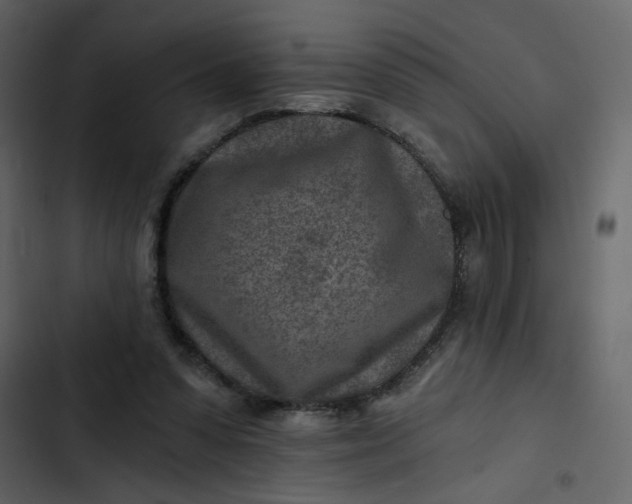 X0000102820303200809021257