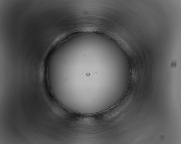 X0000102820304200809021257