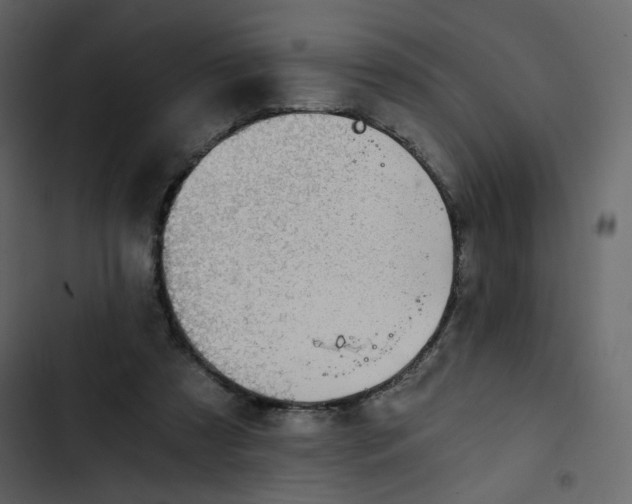 X0000102820305200809021257