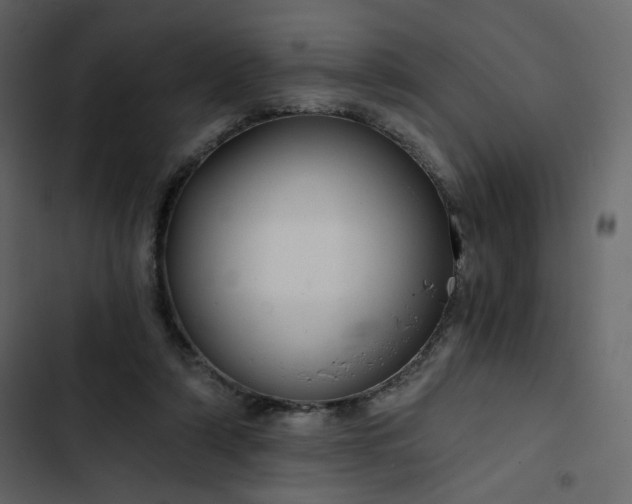 X0000102820306200809021257