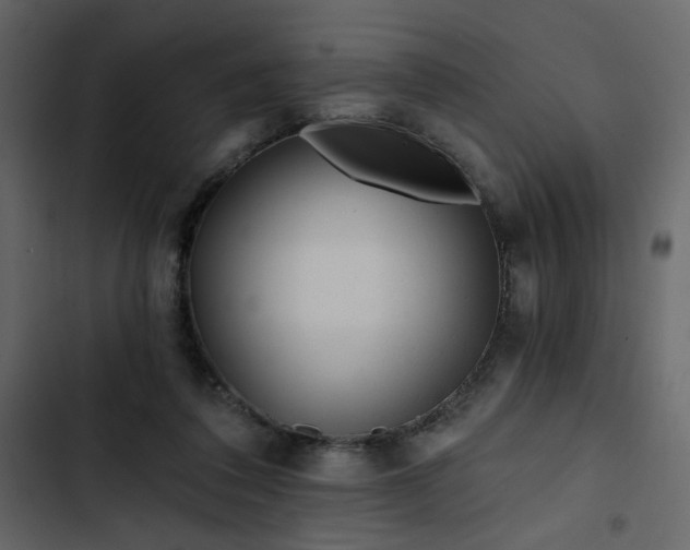 X0000102820308200809021257