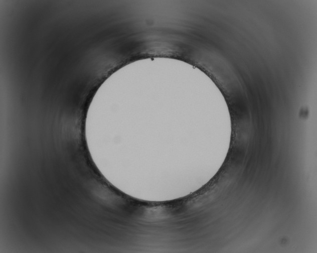 X0000102820309200809021257