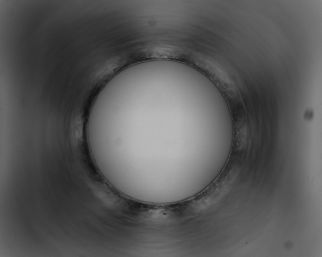 X0000102820310200809021257