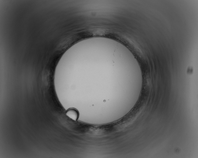 X0000102820311200809021257